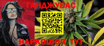 гашик Ливны