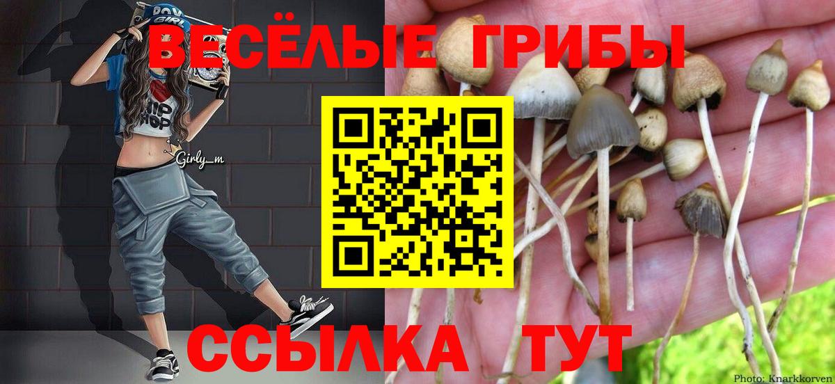 Галлюциногенные грибы прущие грибы  Вход с VPN  Галлюциногенные грибы Magic Shrooms  Торжок 